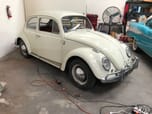 1964 Volkswagen Beetle for Sale $25,000