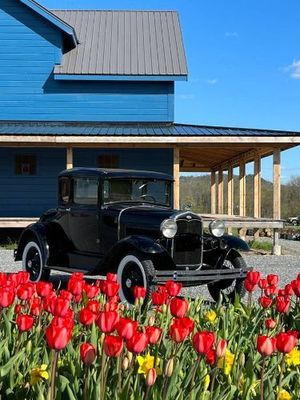 1931 Ford Model A  for sale $23,495 