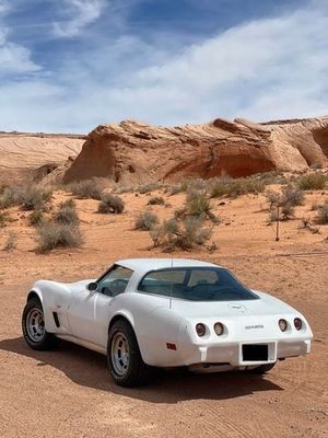 1979 Chevrolet Corvette  for sale $16,100 