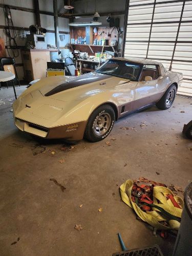 1981 Chevrolet Corvette  for Sale $16,495 