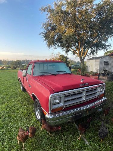 1987 Dodge Ram  for Sale $13,495 