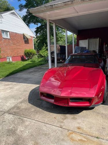 1981 Chevrolet Corvette  for Sale $23,995 