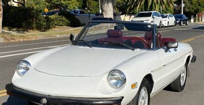 1978 Alfa Romeo Spider  for sale $13,995 