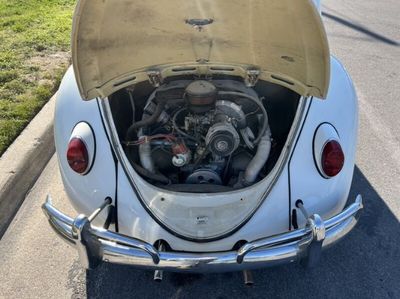 1963 Volkswagen Beetle  for sale $19,995 