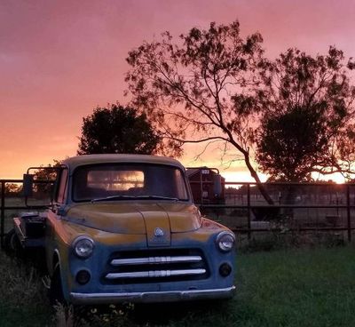 1954 Dodge  for sale $10,495 