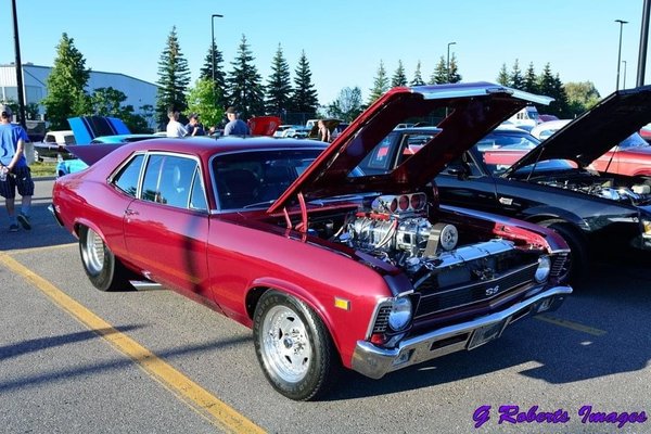 1970 Chevy Nova  for Sale $45,600 