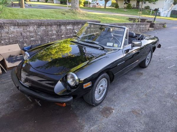 1981 Alfa Romeo Spider Veloce  for Sale $8,995 