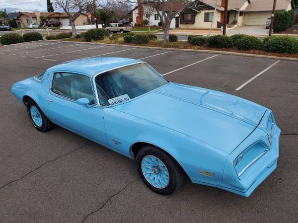 1977 Pontiac Firebird  for Sale $29,495 