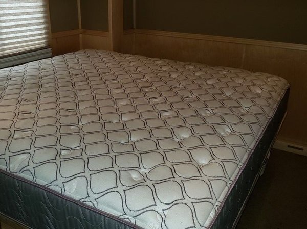 2011 SHOWHAULER BUNKS