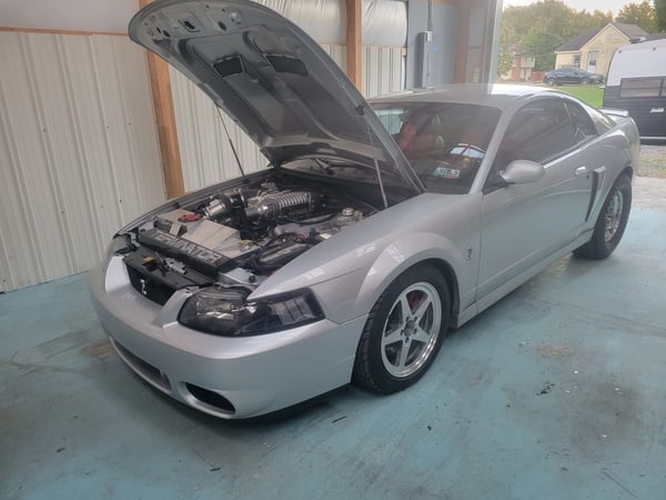 2003 Ford Mustang  for Sale $26,500 