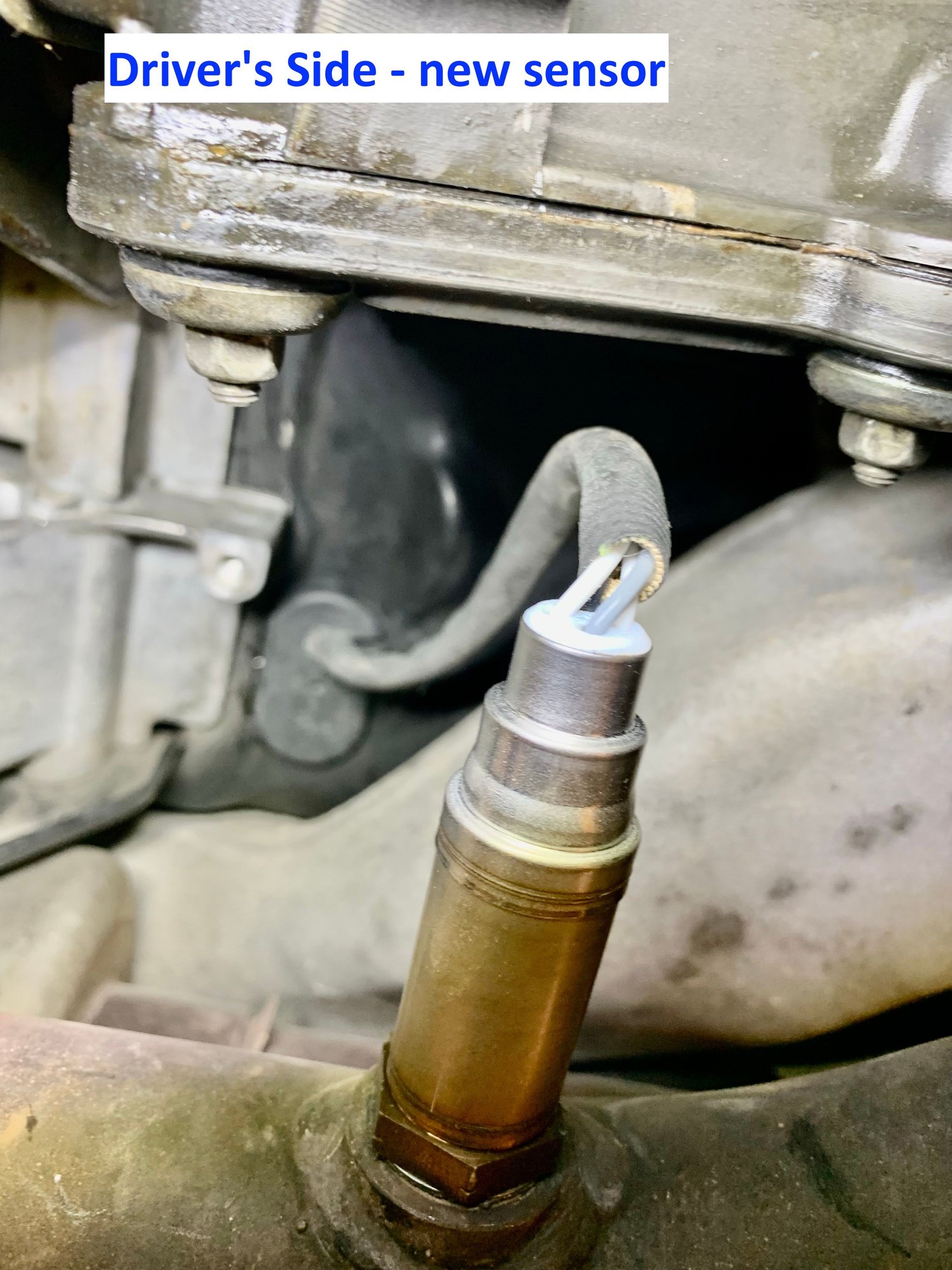 Oxygen O2 Sensor Color Diagnosis White Rennlist Porsche