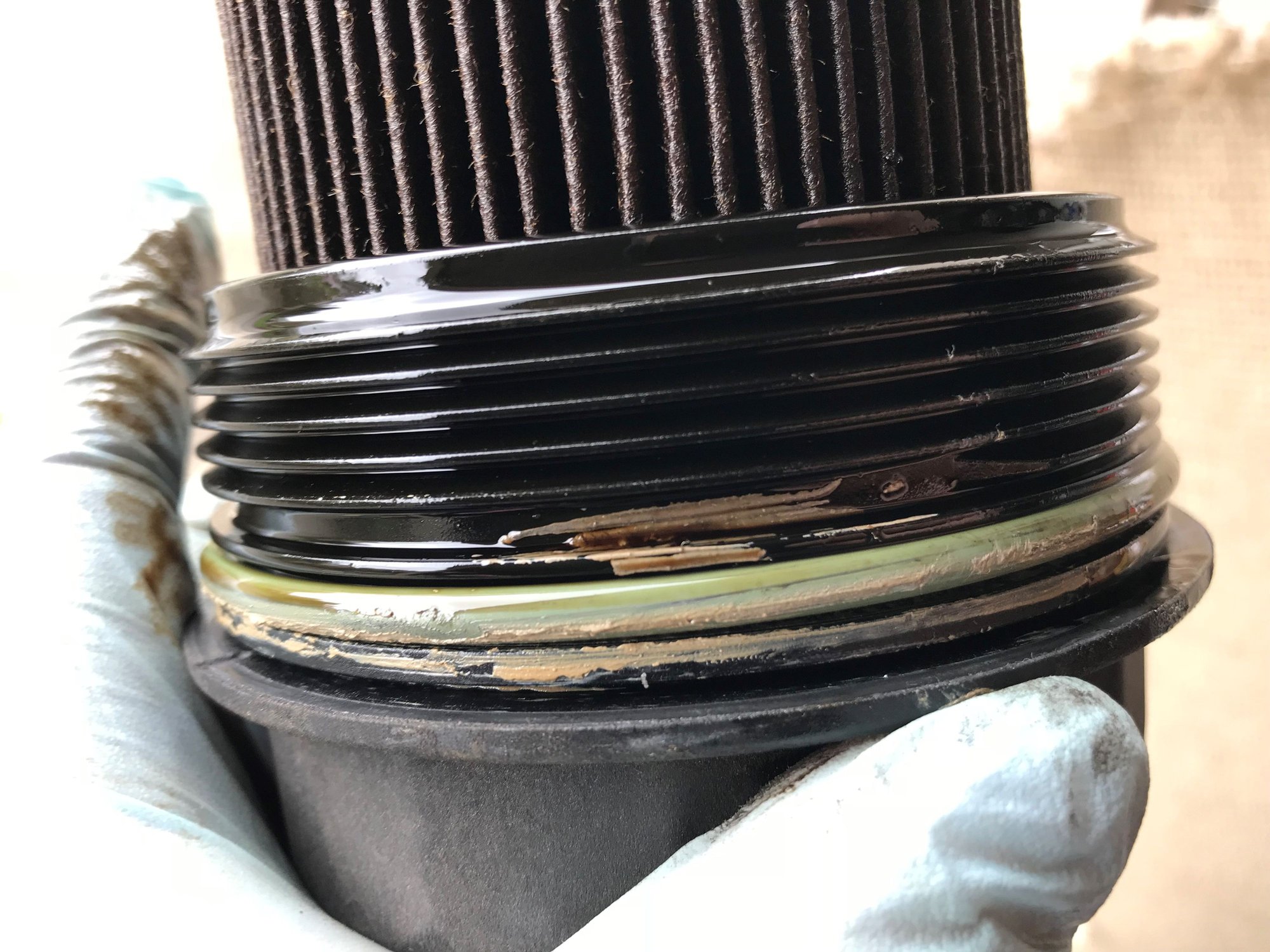 Yellow Looking Sludge Inside My Oil Cap Page 2 Rennlist Porsche