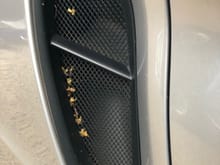 Porsche Cayman and Boxster 981 Side Intake Mesh Grille