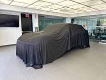 The great unveiling!
