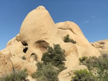 Skull Rock is kind of famous, but... meh