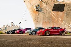 gallery_picture_38782883