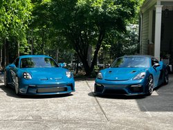 gallery_picture_38783383