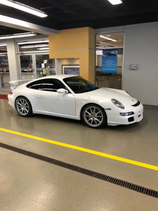 Here is a picture of my new to me 997.1 Gt3. I think she is pretty even without her chin in place