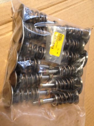993RS intake valves, stock 964 exhaust valves, Aasco titanium springs & retainers, valve retainers (all for sale)