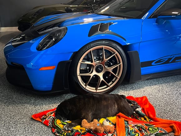 Us waiting for the 992 GT2 RS 🐶 