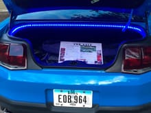 LEDs for trunk