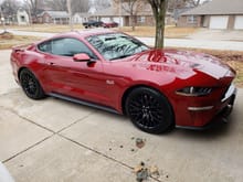 2019 Mustang GT Premium