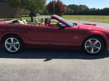 Hello everyone,  I’m new this forum & potentially a new mustang owner. I stumbled upon  this great 2008 GT with only 13,500 original miles with one owner