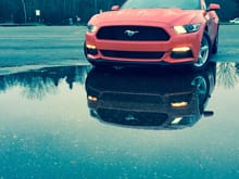 2016 Mustang v6