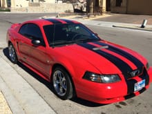 This is my 2000 mustang. Just want to get it back on its feet again.