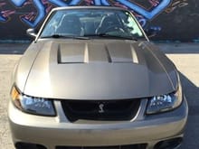 LAMustang.com mascot 2001 Mustang GT/Cobra