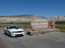 This Utah park in Vernal was excellent with it's real 'wall of fossils'.