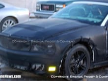 6 mustang spied