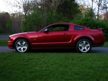 my mustang lores