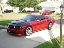 Ron's Mustang 038