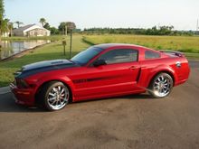 Ron's Mustang 040