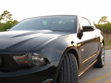 Mustang 508