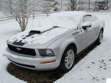 stang in snow  large