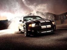 Ford Shelby GT500 2012