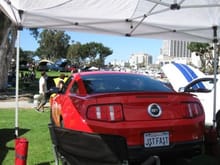 300 Mustangs at Embarcadero Park..

Sandy Eggo at it's Best!
