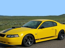 Images Of 2004 Mustang Mach 1 Take 2 Restored/Resubmitted By m05fastbackGT