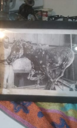 Bill Swan was the sculpture of the Ford Mustang 