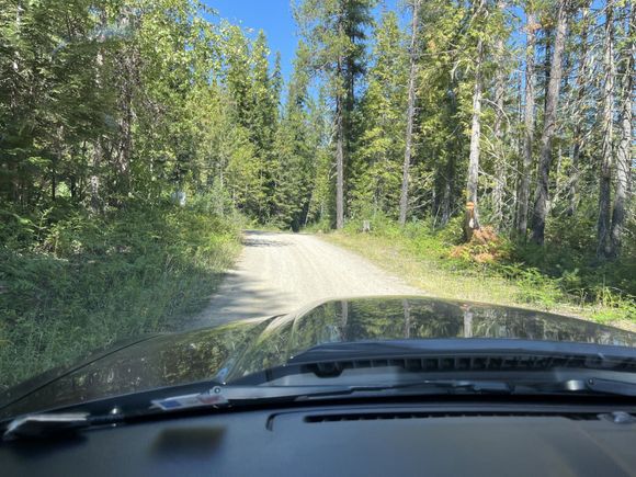 Off Road Mustang