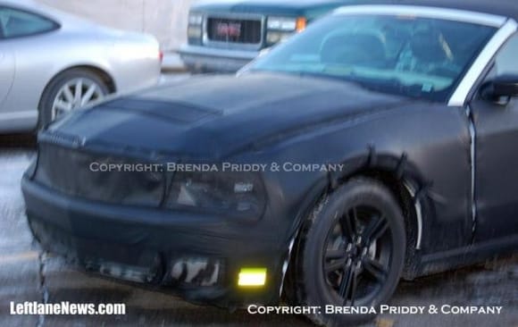 6 mustang spied