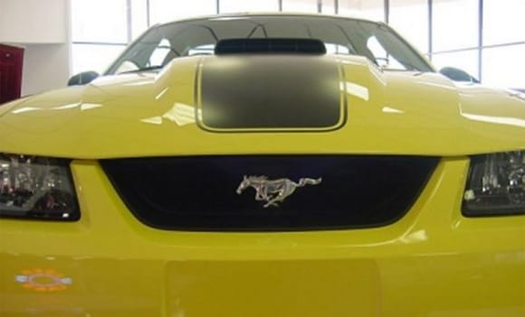 yellow2003mach1 grille