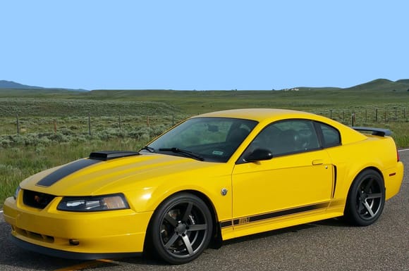 Images Of 2004 Mustang Mach 1 Take 2 Restored/Resubmitted By m05fastbackGT