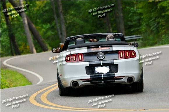 2013 shaking its ass at the Tail of the Dragon road trip with my son Sept 2025.  Nice to see that I am not crowning at my age...LOL!!!