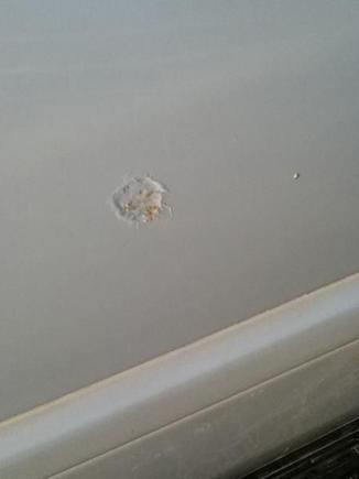 I have about 4 spots that look like this on the doors