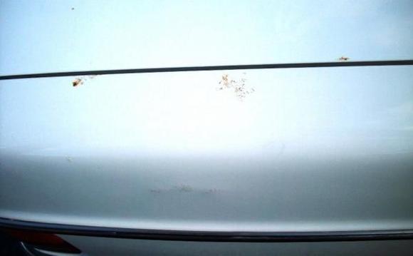 Some more of the surface rust. Rust under the paint