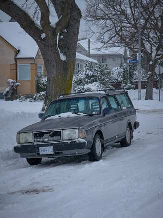 Playing in the snow.