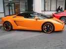 Gold Coast Concours